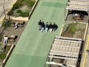 Els experts preveuen una primavera especialment dura per als al·lèrgics per les pluges dels darrers mesos
