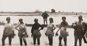 Visibilització del paper de les dones en la història a través dels arxius