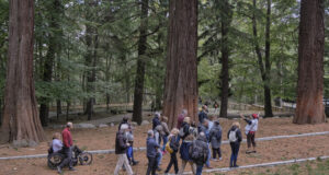 Noves rutes teatralitzades inclusives fusionen natura i arts escèniques a la Xarxa de Parcs Naturals