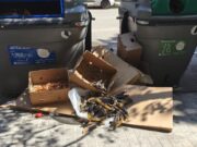 “No hi ha manera que l’Ajuntament sancioni aquestes marranades”: Indignació a Granollers per l’abocament de restes de menjar al carrer Colom