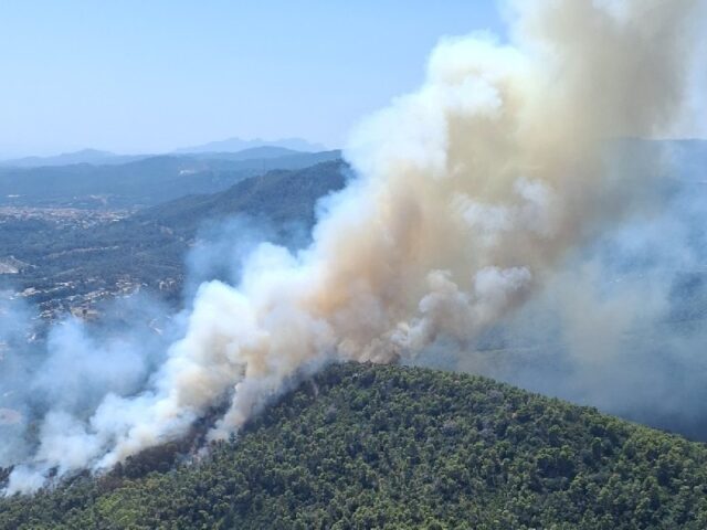 noticia_1783355471.jpg