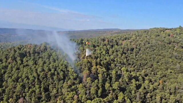 Imatge del vídeo de l'incendi a Tagamanent (Bombers)