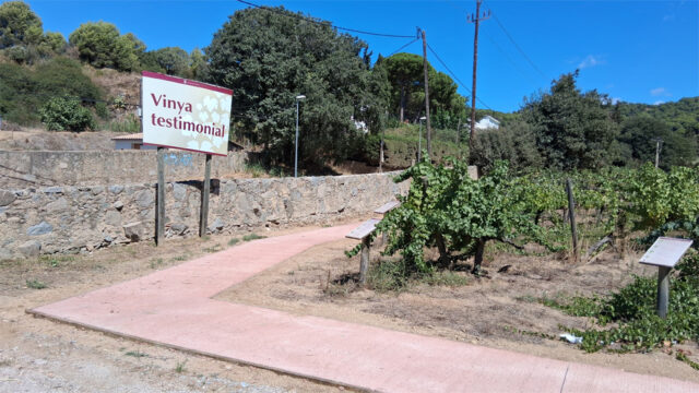 noticia_1789564510.jpg